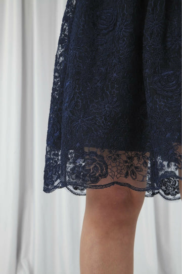 Navy Embroidered Lace Skater Dress Double Second